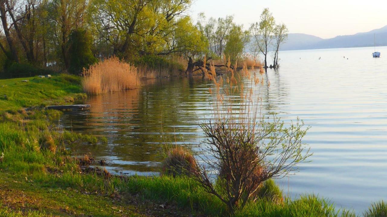 The Gulf Villa - Lago Maggiore Monvalle Dış mekan fotoğraf