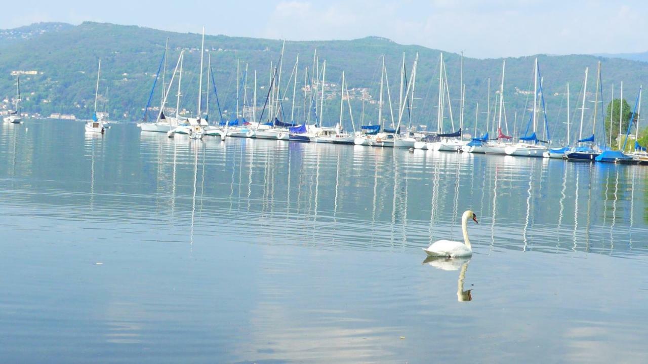 The Gulf Villa - Lago Maggiore Monvalle Dış mekan fotoğraf