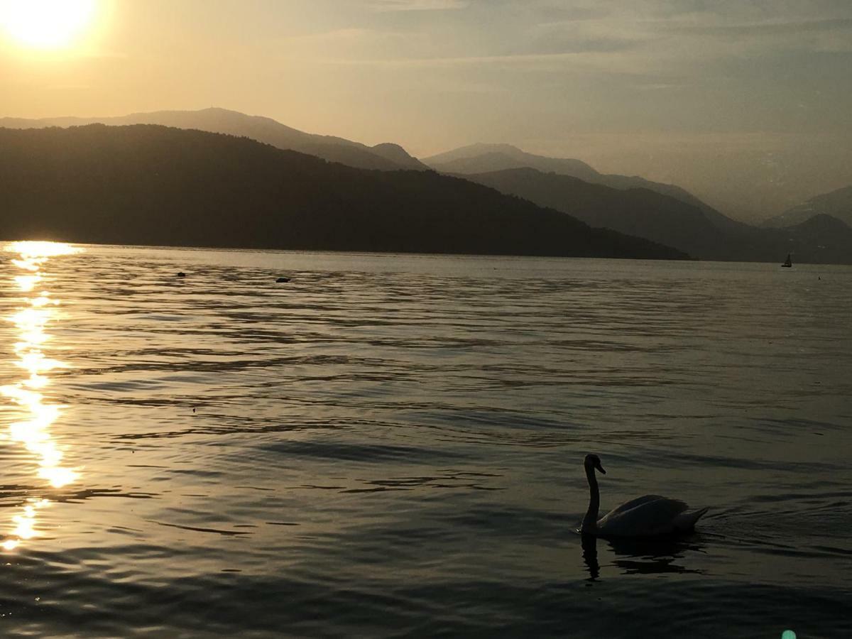 The Gulf Villa - Lago Maggiore Monvalle Dış mekan fotoğraf